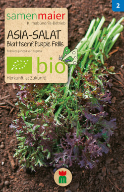 Asia-Salat-Blattsenf