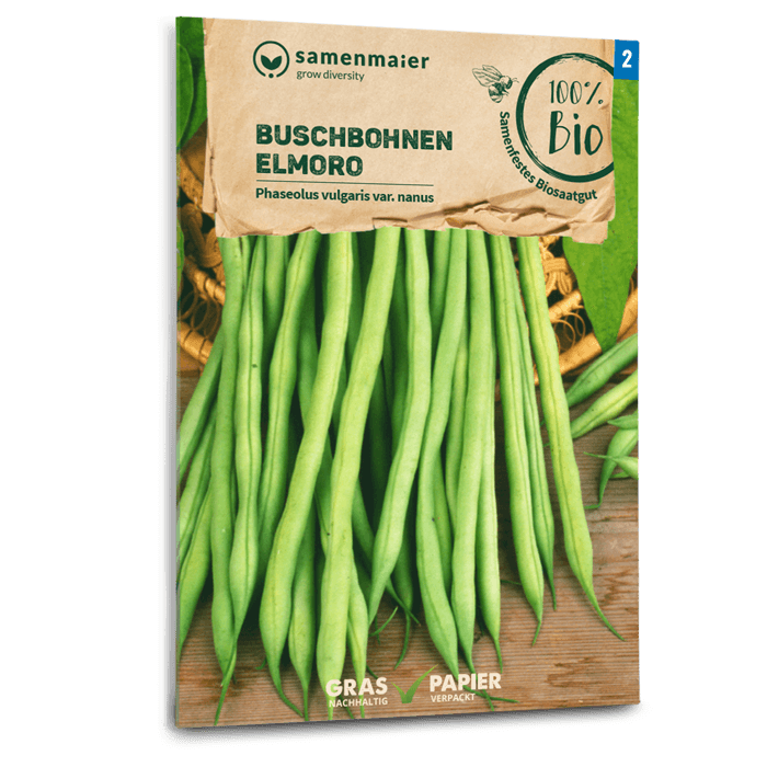 Organic Bush Beans \'Elmoro\' Maier | Samen